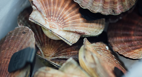 Gastro 495x270 25.10.24, 12 36 13