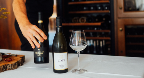 Gastro 495x270 Galerie LiLi