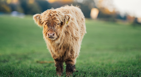 Umgebung 01 495x270 Galerie 25.10.24, 17 11 33