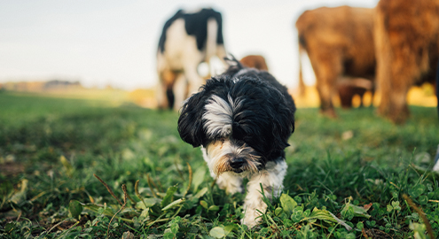 Umgebung 01 495x270 Galerie 25.10.24, 17 12 28