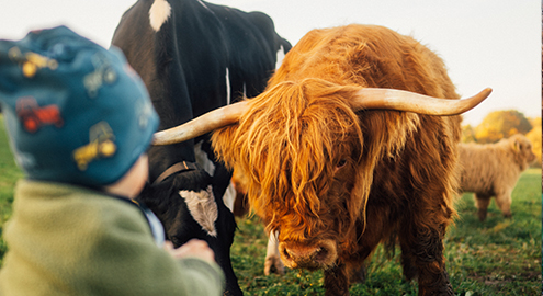 Umgebung 01 495x270 Galerie 25.10.24, 17 22 59