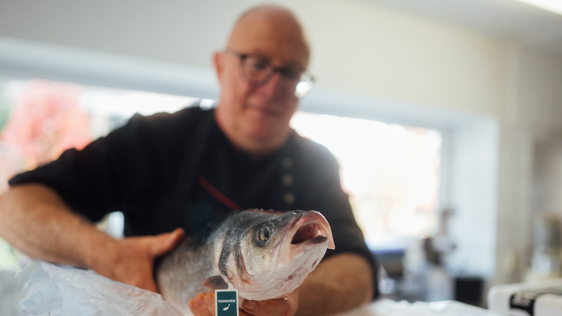 Gastro 1980x1080 pixel 251024 124033